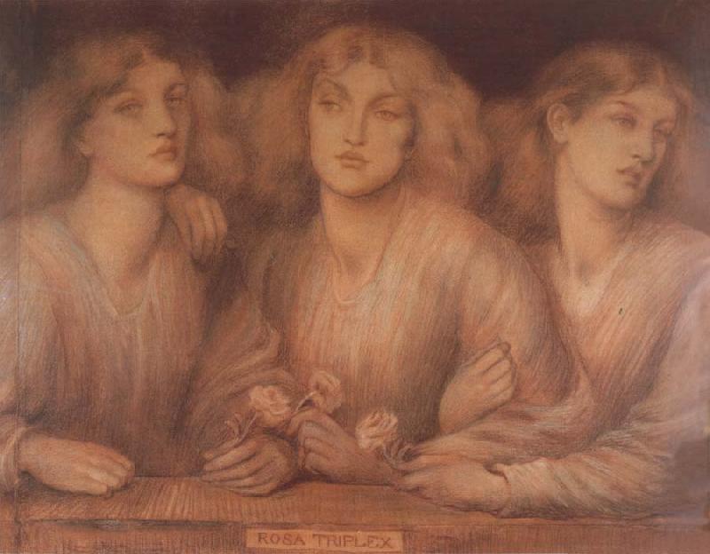 Dante Gabriel Rossetti Rosa Triplex Sweden oil painting art